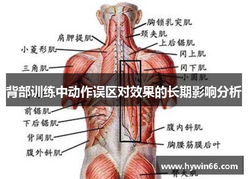 背部训练中动作误区对效果的长期影响分析
