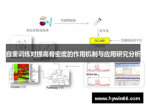 自重训练对提高骨密度的作用机制与应用研究分析